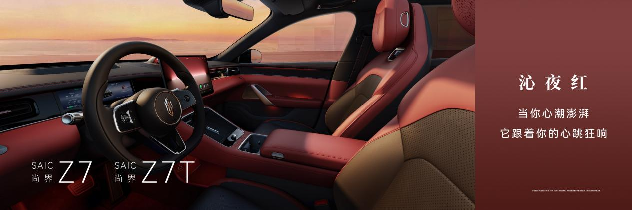 {KS:Field:Title} 第 8 张