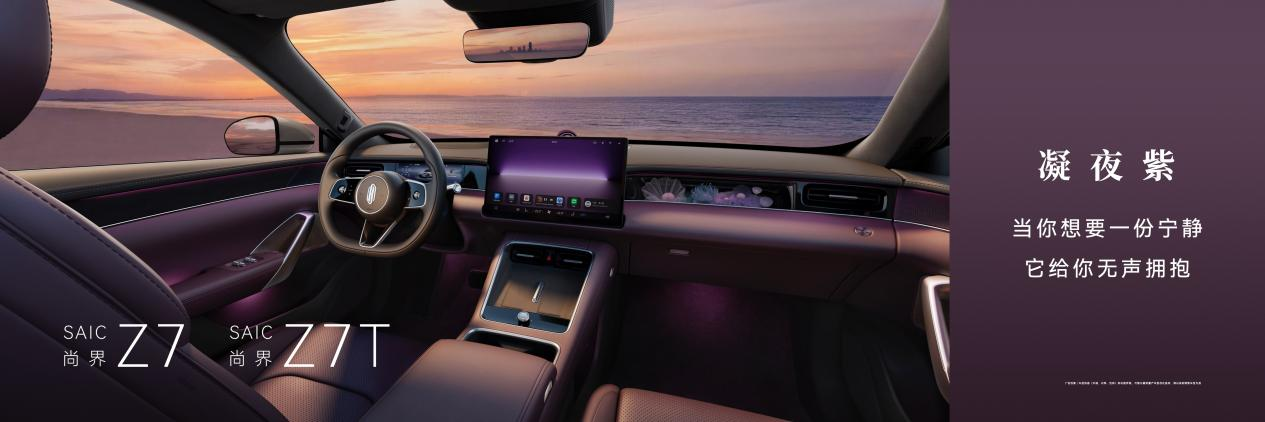 {KS:Field:Title} 第 9 张